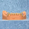 Iced Heart Brace Style & Opal On Fang Grillz