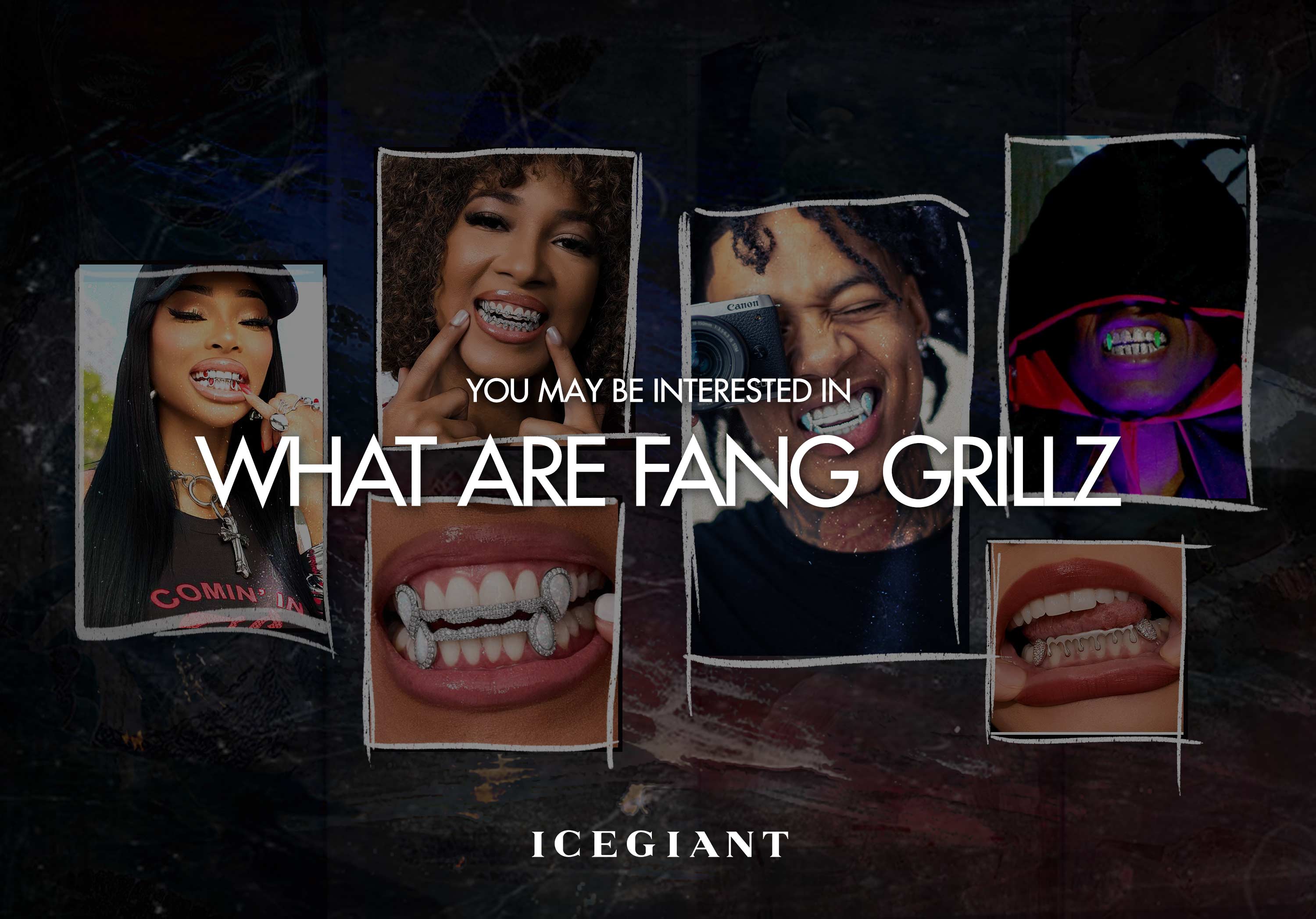 YOU MAY BE INTERESTED IN: WHAT ARE FANG GRILLZ