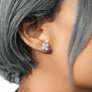 S925 Micro Moissanite Four Leaf Clover Stud Earrings