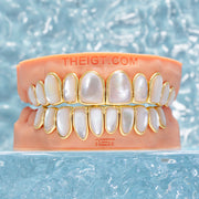 WHITE SHELL GRILLZ