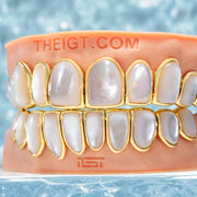 WHITE SHELL GRILLZ