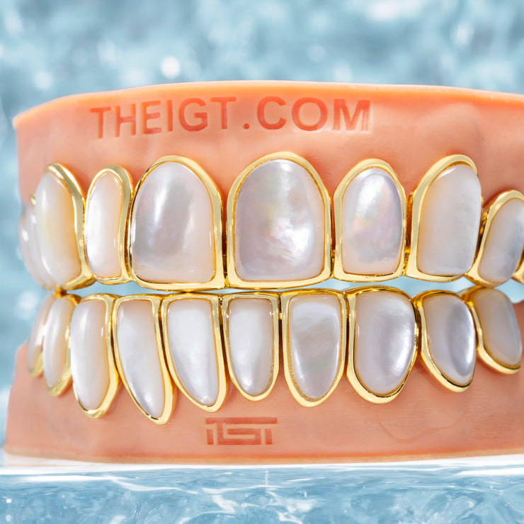 WHITE SHELL GRILLZ