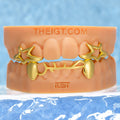 Arabic Script Star Open Face Fang Grillz