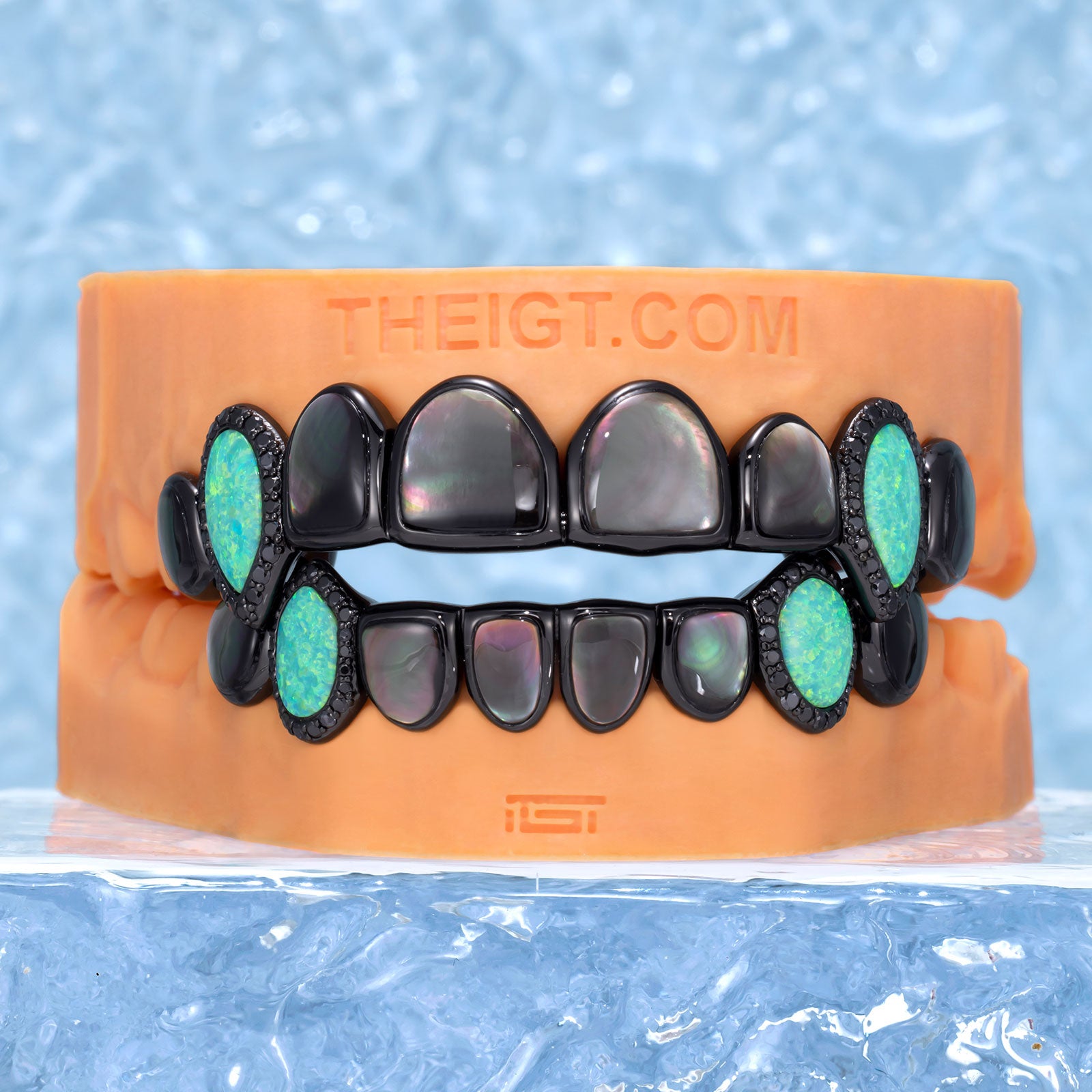 Black Shell & Opal Fang Grillz