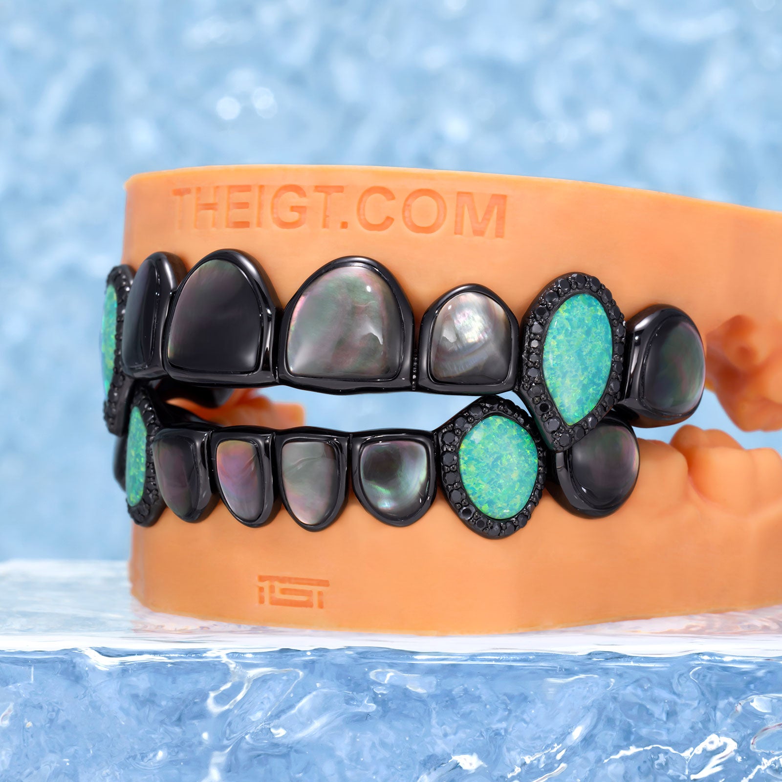 Black Shell & Opal Fang Grillz