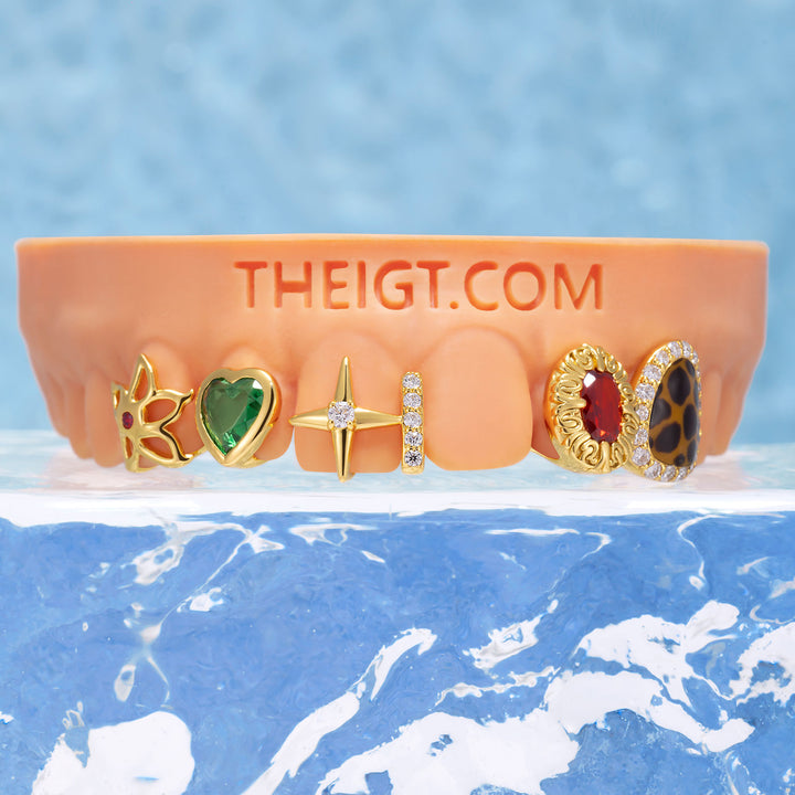 Custom Ruby & Leopard Grillz