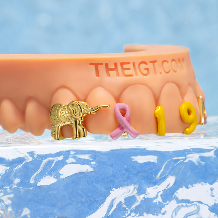 Elephant Ribbon Number Enamel Grillz - ICEGIANT