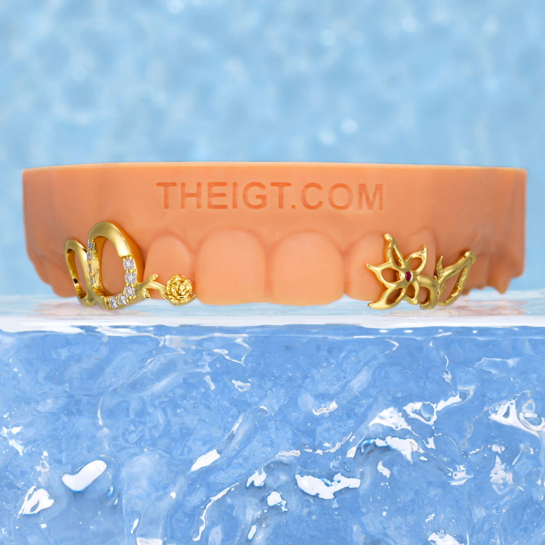 Hibiscus & Rose Garden Open Grillz