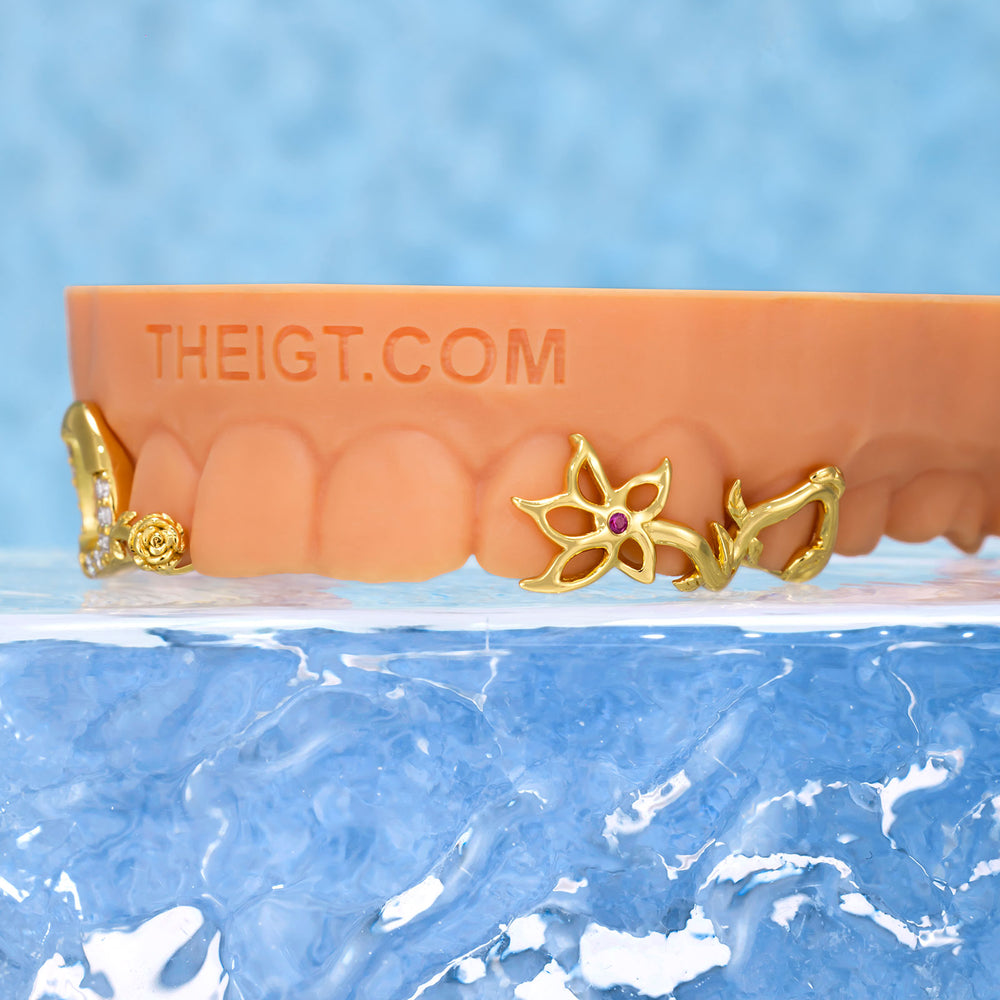 Hibiscus & Rose Garden Open Grillz