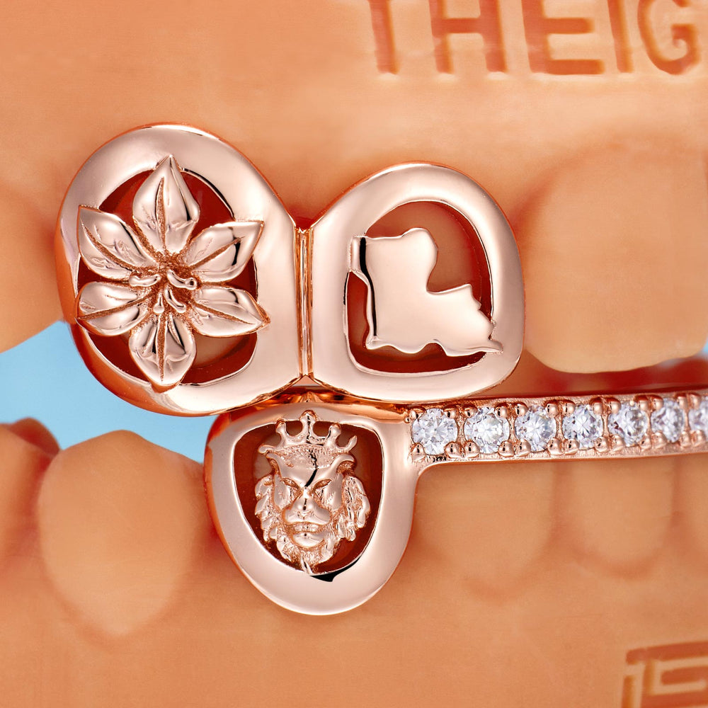 "Lion & Goat" Opal Flower Multi-Element Set