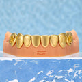 "Scorpio Rose" Mystic Open Face Grillz