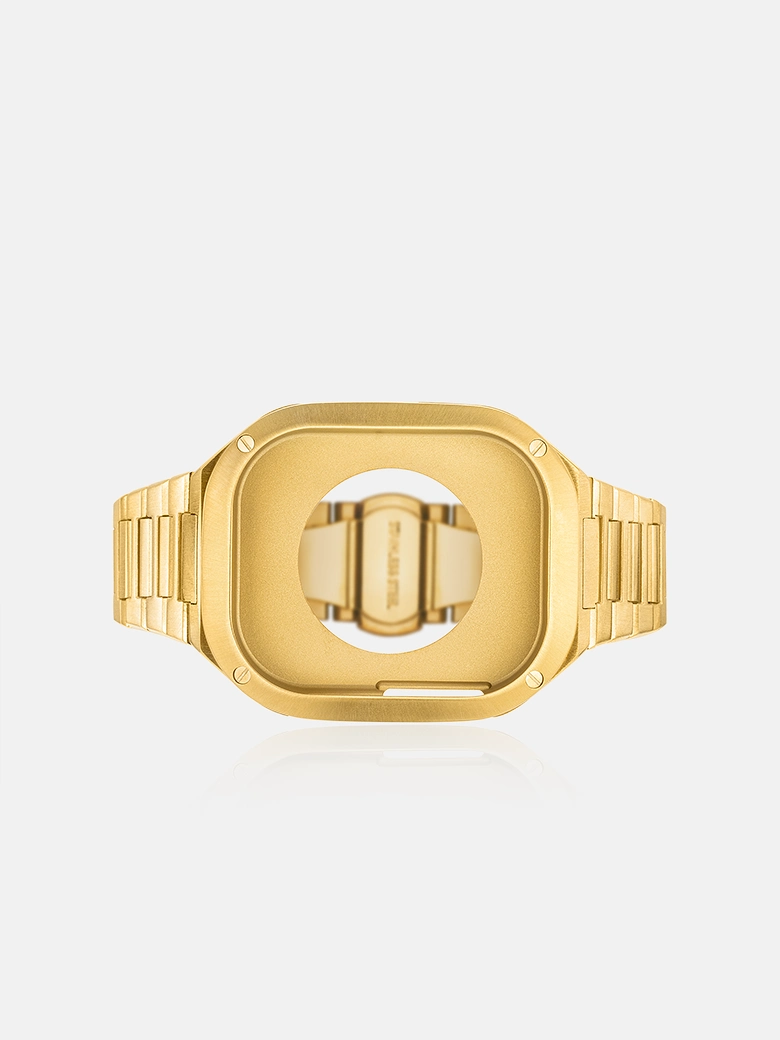 Stainless Steel Apple Watch Case With Band