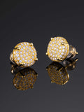 925 Sterling Silver Pave Earrings