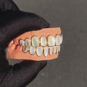 WHITE SHELL GRILLZ