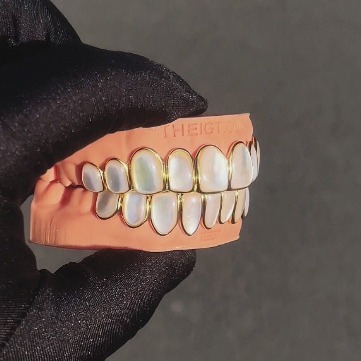 WHITE SHELL GRILLZ